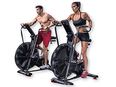 SCHWINN Airdyne AD8 Pro